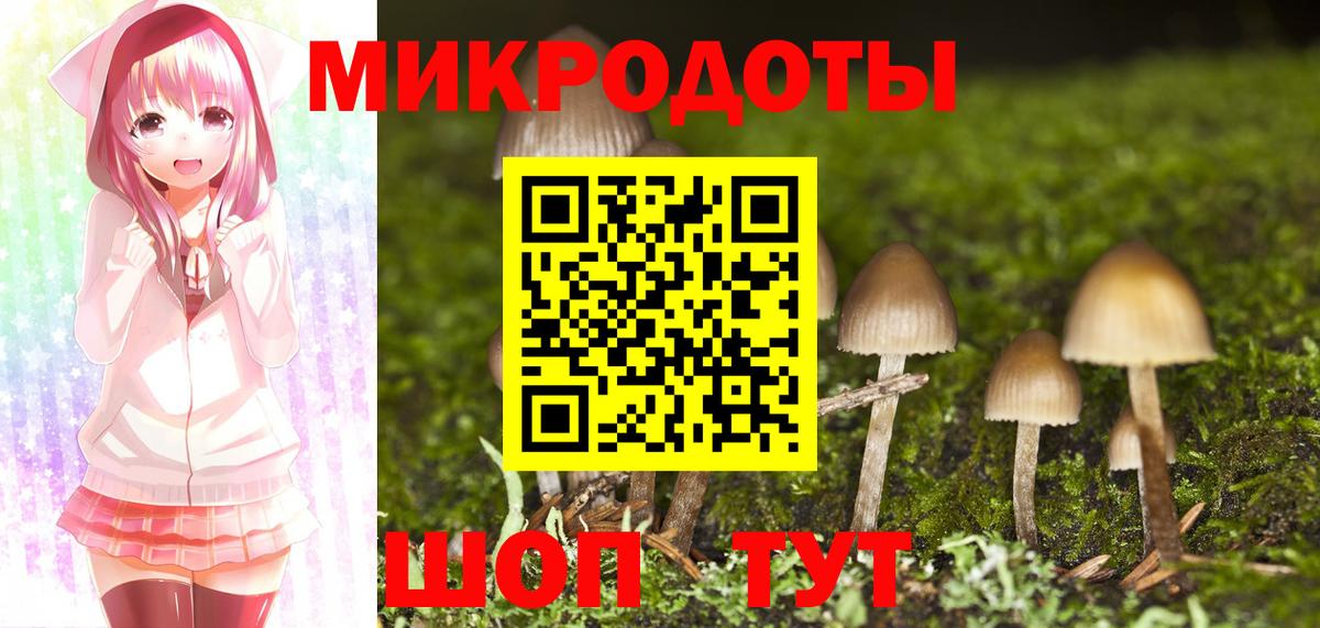 Галлюциногенные грибы Psilocybine cubensis  Вход с VPN  Псилоцибиновые грибы мухоморы  Кириши 