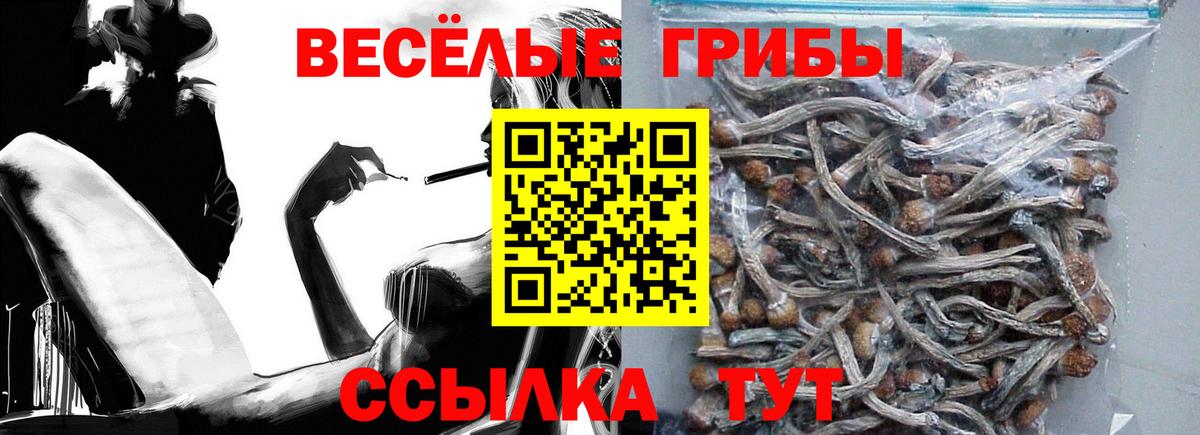 Галлюциногенные грибы мицелий Кириши